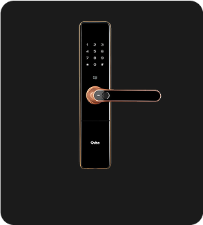 Smart Door Locks