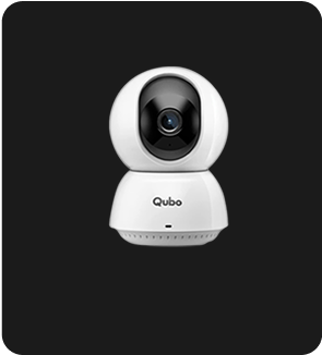 Indoor Cameras