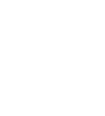 security-icon